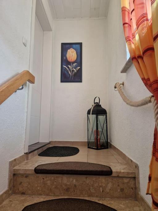 Gemuetliche 3-Zimmer-Wohnung, Zentral Gelegen Apensen Exteriör bild